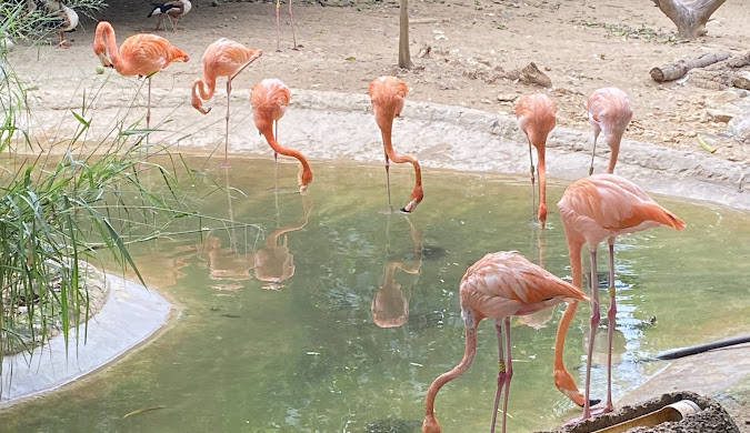 Catedral de Barranquilla