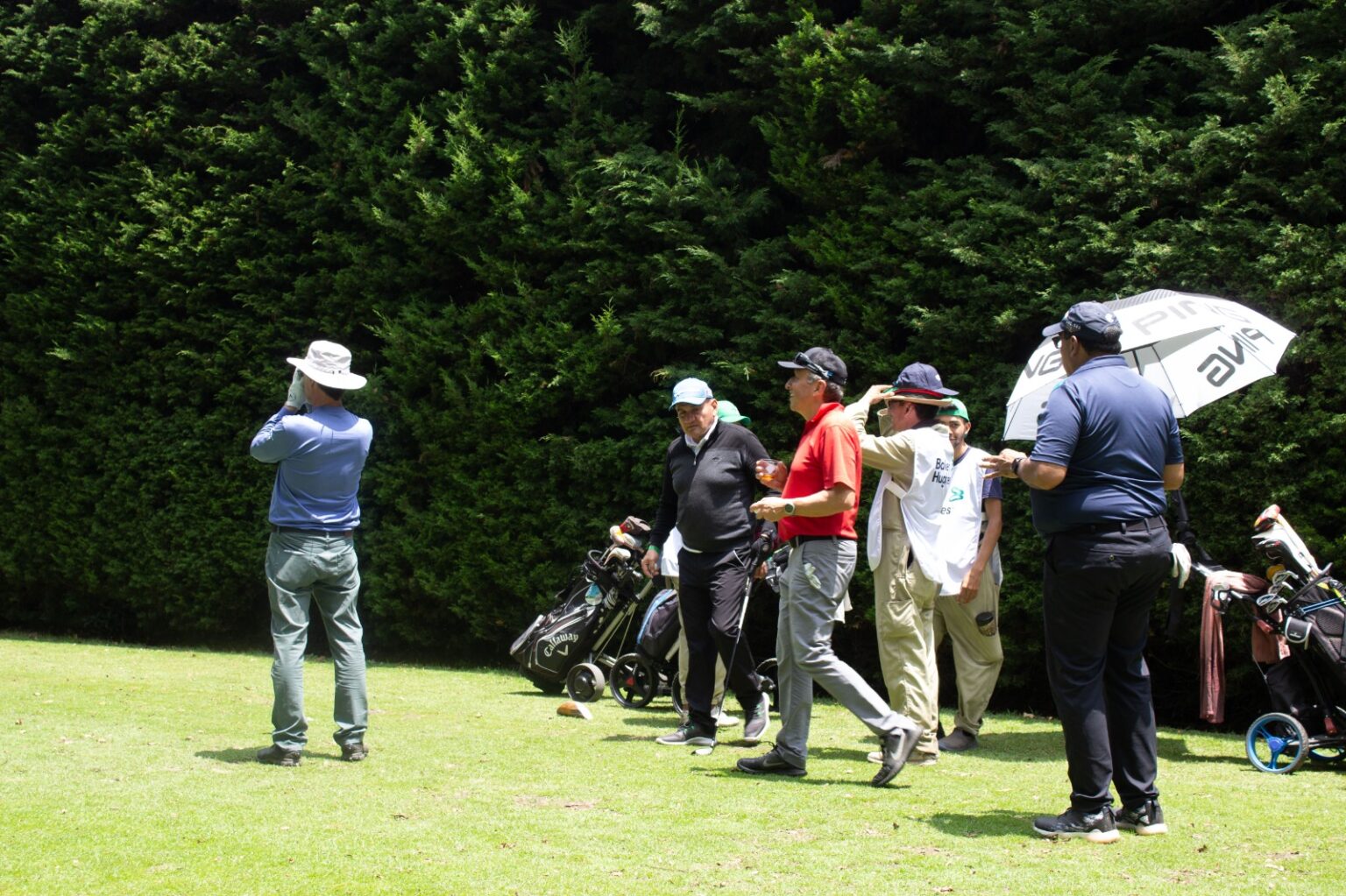 Golf (67)